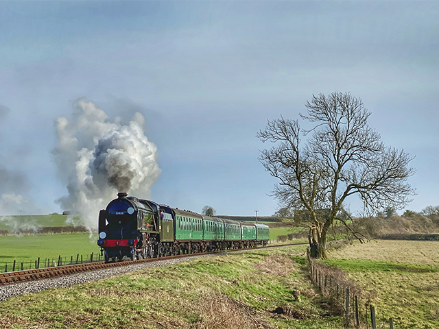 A day of steam photography featuring No.30925 Cheltenham on Southern vans and green passenger stock